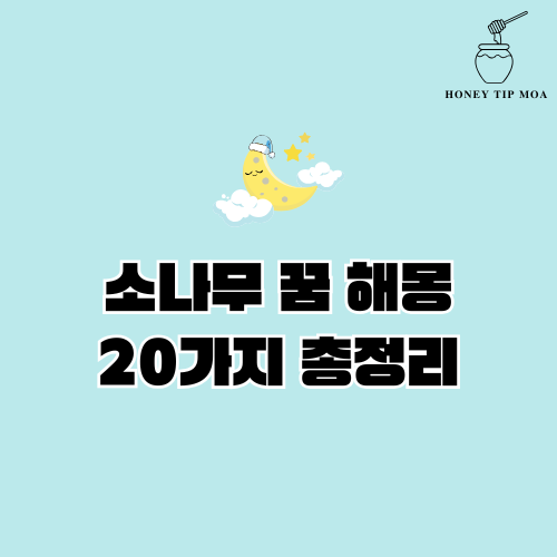 소나무 꿈 해몽