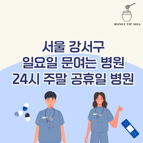 서울 강서구 일요일 문여는 병원