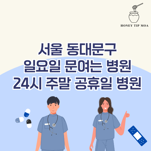 서울 동대문구 일요일 문여는 병원