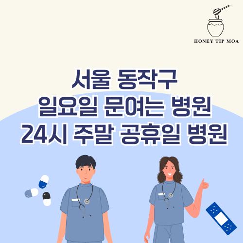 서울 동작구 일요일 문여는 병원