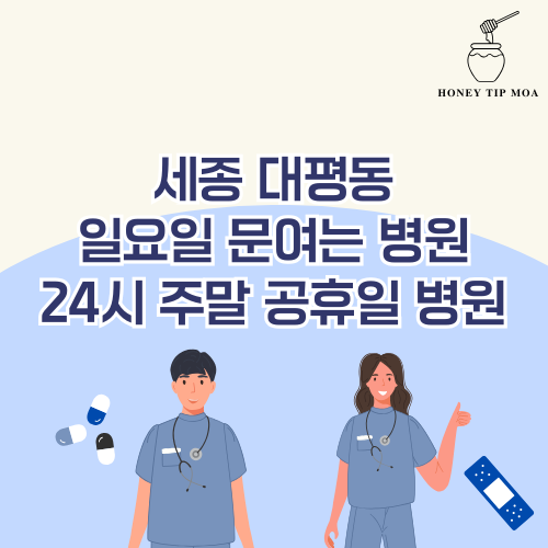 세종 대평동 일요일 문여는 병원
