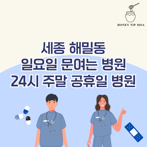 세종 해밀동 일요일 문여는 병원