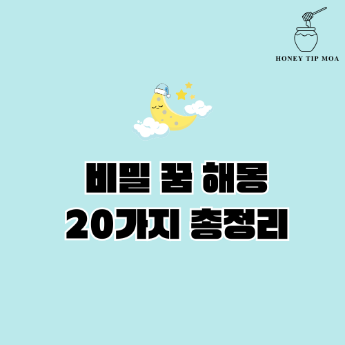 비밀 꿈 해몽