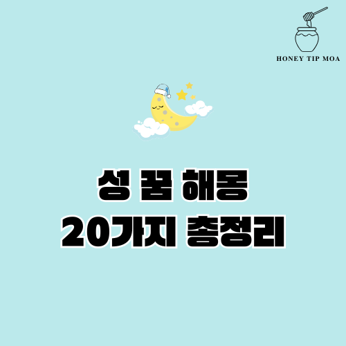 성 꿈 해몽