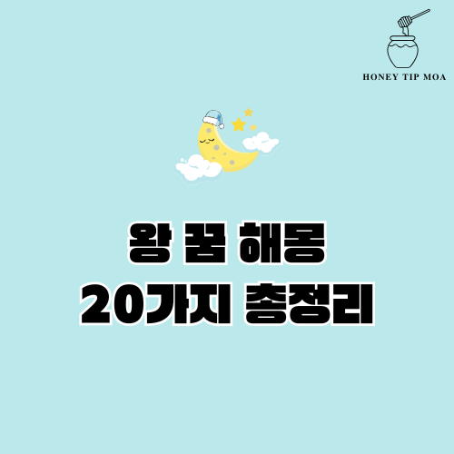 왕 꿈 해몽