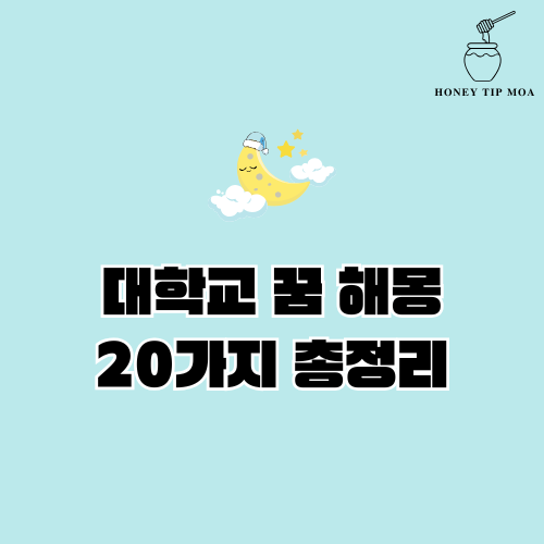 대학교 꿈 해몽