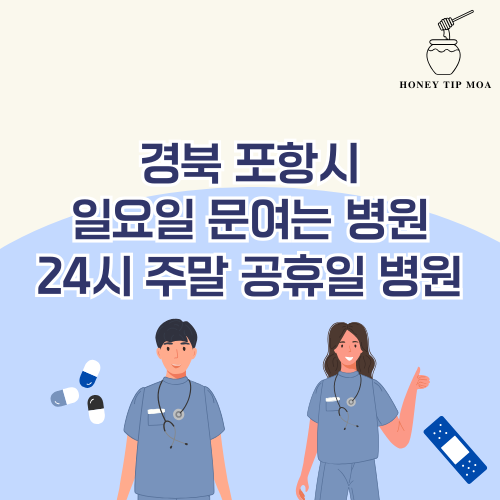 경북 포항시 일요일 문여는 병원