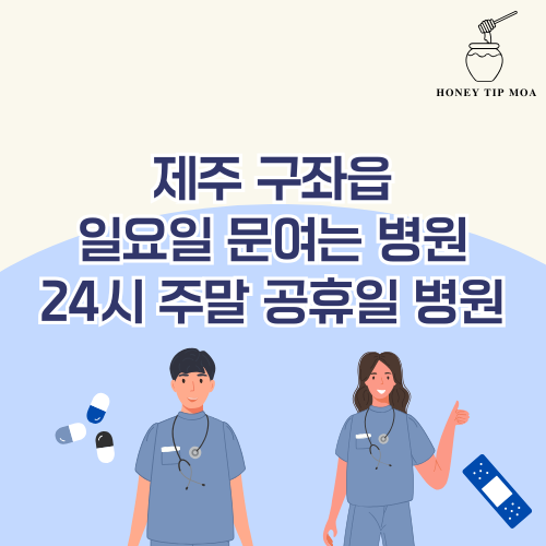 제주 구좌읍 일요일 문여는 병원