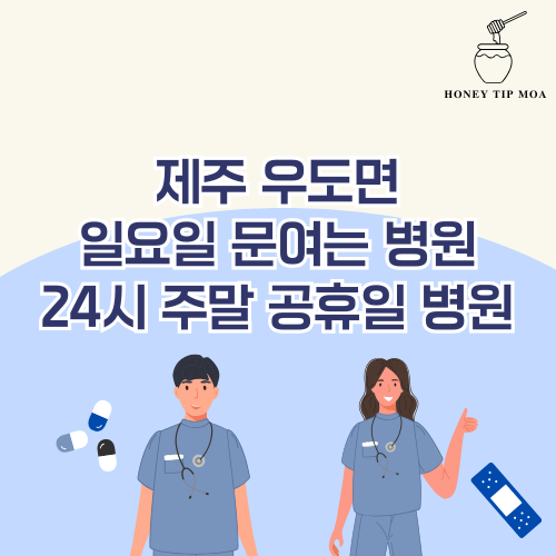 제주 우도면 일요일 문여는 병원