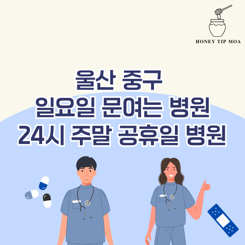 울산 중구 일요일 문여는 병원