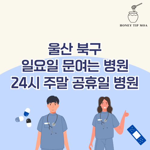 울산 북구 일요일 문여는 병원