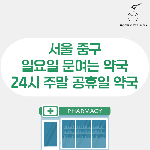 서울 중구 일요일 문여는 약국