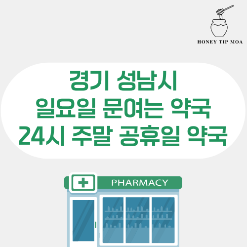경기 성남시 일요일 문여는 약국