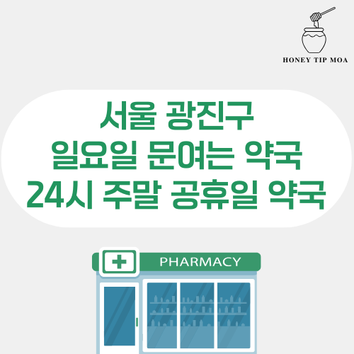 서울 광진구 일요일 문여는 약국