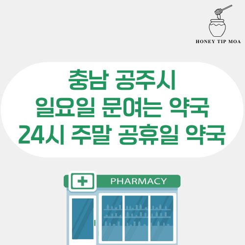 충남 공주시 일요일 문여는 약국